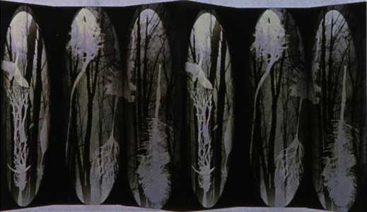 Title ;Screen  Medium Digital image on rag paper  Size H80CM/130CM1997