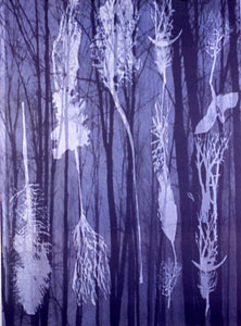 Title Forest3 Medium Digital image on rag paper  Size H120cm/ W180cm 1997